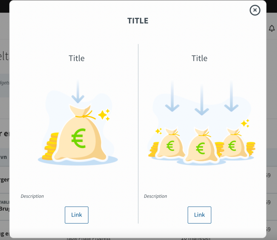 Deltagerbudgetter wizard